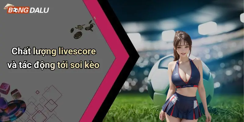 Chất lượng livescore và tác động tới soi kèo
