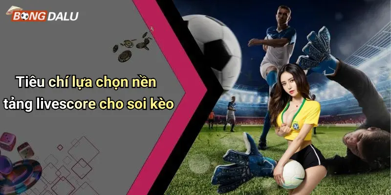Tiêu chí lựa chọn nền tảng livescore cho soi kèo