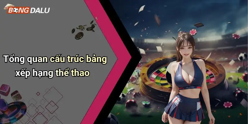 Tổng quan cấu trúc bảng xếp hạng thể thao