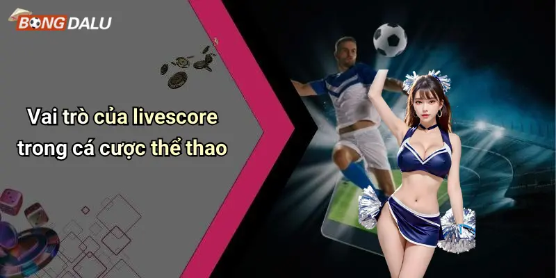Vai trò của livescore trong cá cược thể thao