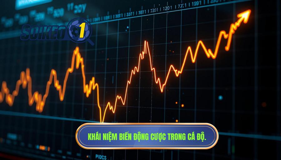 Khái niệm biến động cược trong cá độ