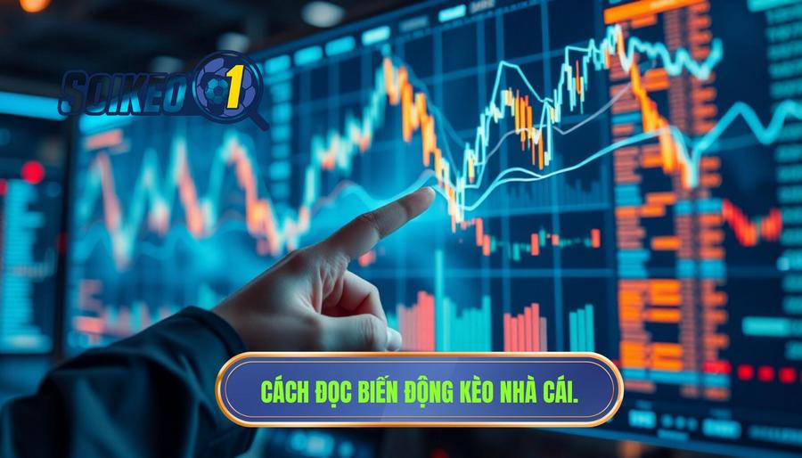 Cách đọc biến động kèo nhà cái